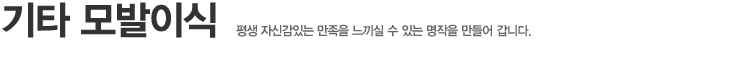 기타 모발이식